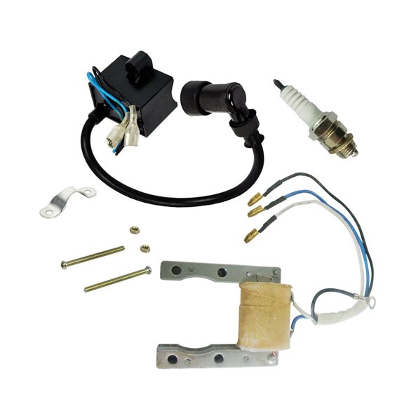 Magneto Stator Spark Plug Ignition Coil CDI Kit 49cc 60cc 66cc 80cc Engine