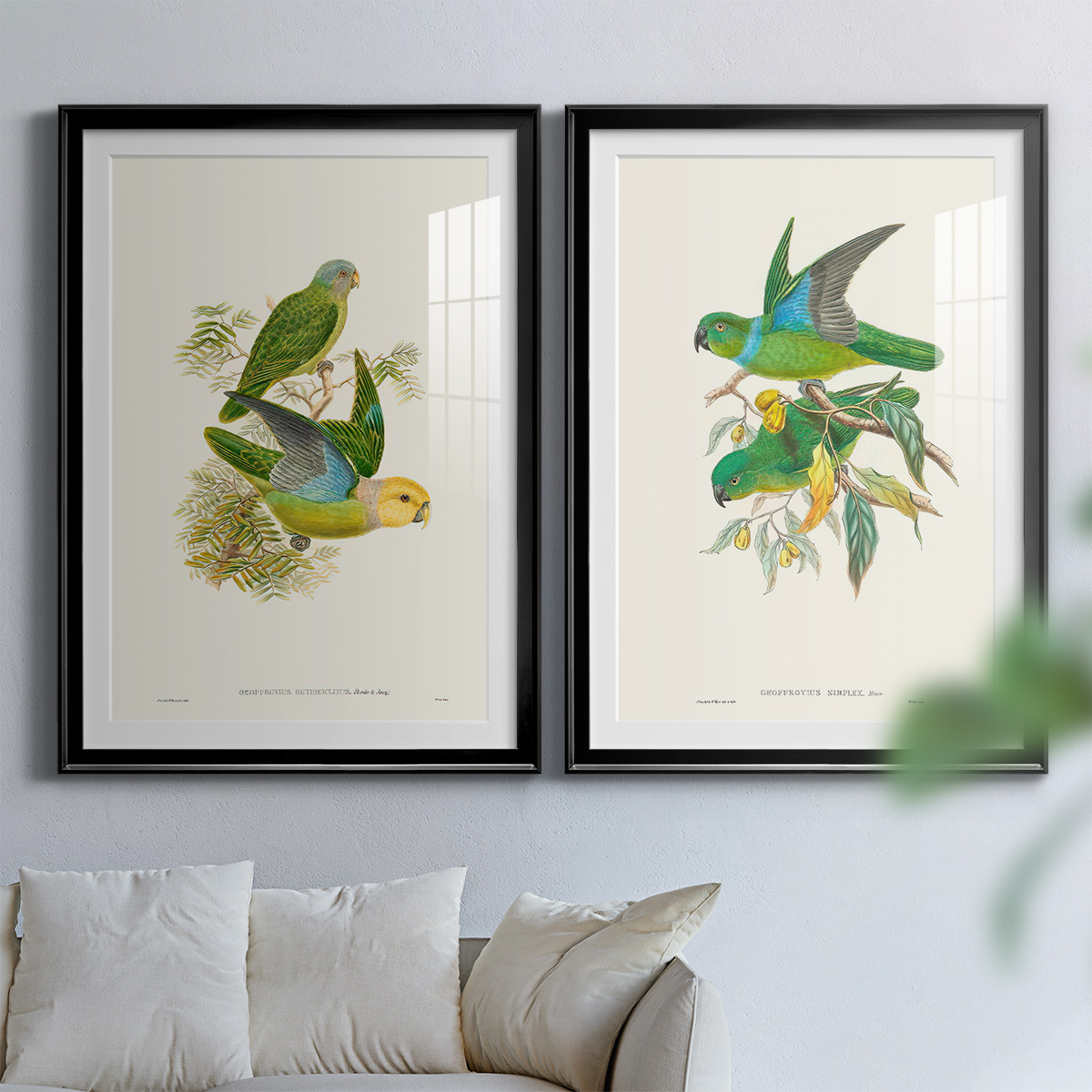 Wexford Home Lime & Cerulean Parrots I Premium Framed Print, 30.5" x 42.5" - Ready to Hang, Black (Set of 2)