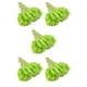 thumbnail image 3 of Naiovety 60 unids/set Flor seca decoración Verde, 3 of 6