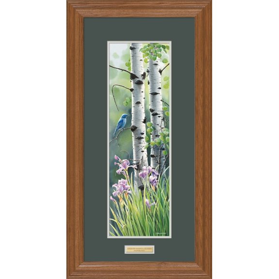 Mountain MemoriesBluebird