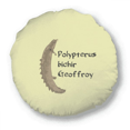 thumbnail image 1 of Polyfin Fish Pritive Freshwater Round Throw Pillow Home Decoration Cushion, 1 of 3