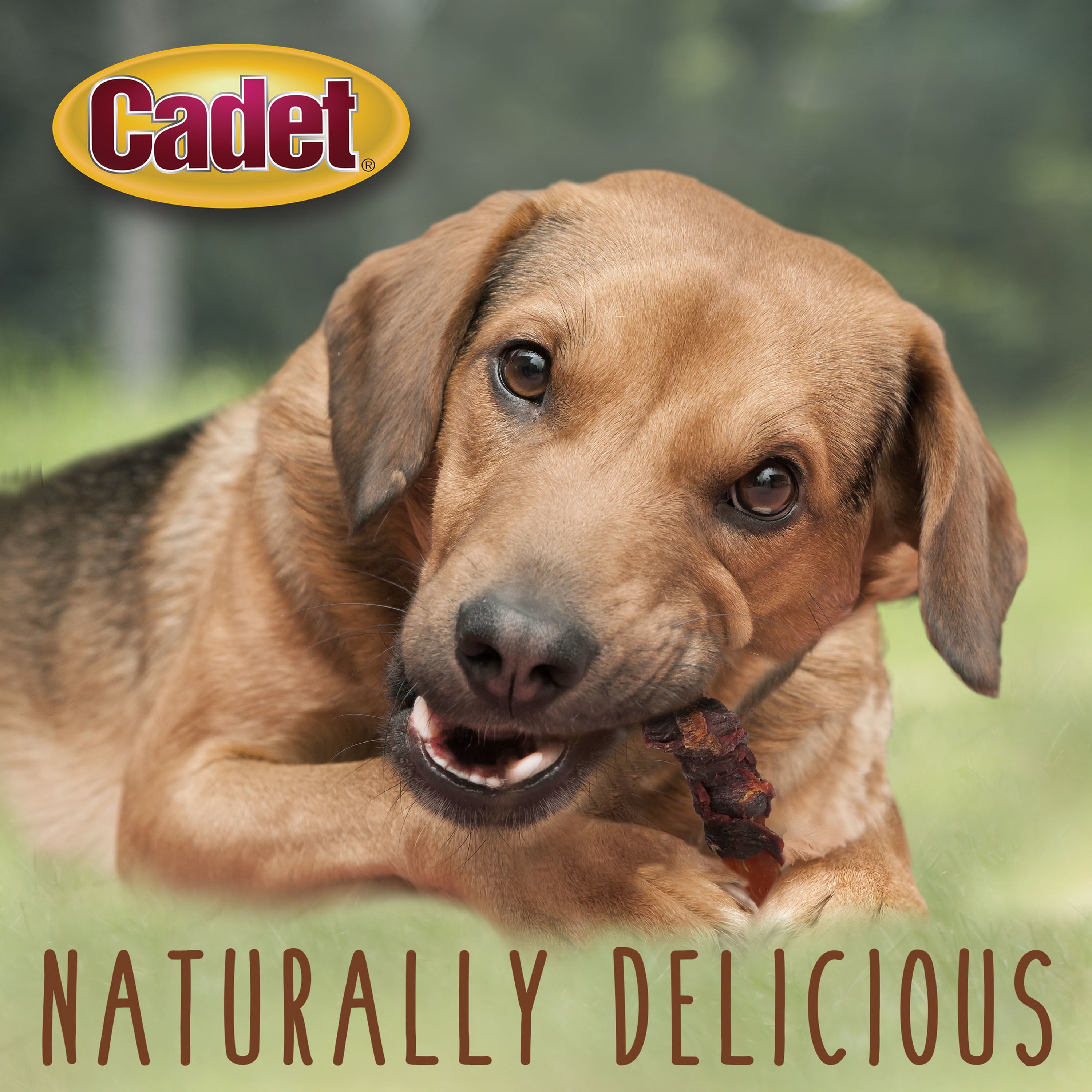 (6 pack) Cadet Gourmet Sweet Potato & Duck Wrapped Dog Chew Treats Wraps,  14oz