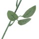 thumbnail image 1 of Pendientes del collar del collar de la caja del anillo del anillo de boda de flores, 1 of 7