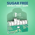 thumbnail image 5 of Orbit Sweet Mint Sugar Free Chewing Gum Travel Essentials - 3 Ct Pack, 5 of 10