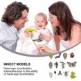 thumbnail image 5 of 3 Sets Plastic Life Cycle Toys Ladybug Growing Kit Frog Life Cycle Butterfly Life Cycle Ki, 5 of 5