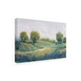 thumbnail image 2 of Tim O'Toole 'Paysage I' Canvas Art, 2 of 3