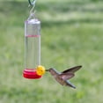thumbnail image 6 of Perky-Pet Planter Box 3 oz Plastic Hummingbird Feeder with Hanging Rod, 6 of 8