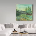 thumbnail image 3 of Trademark Fine Art 'Beautiful Life Lush' Canvas Art by Sue Schlabach, 3 of 3