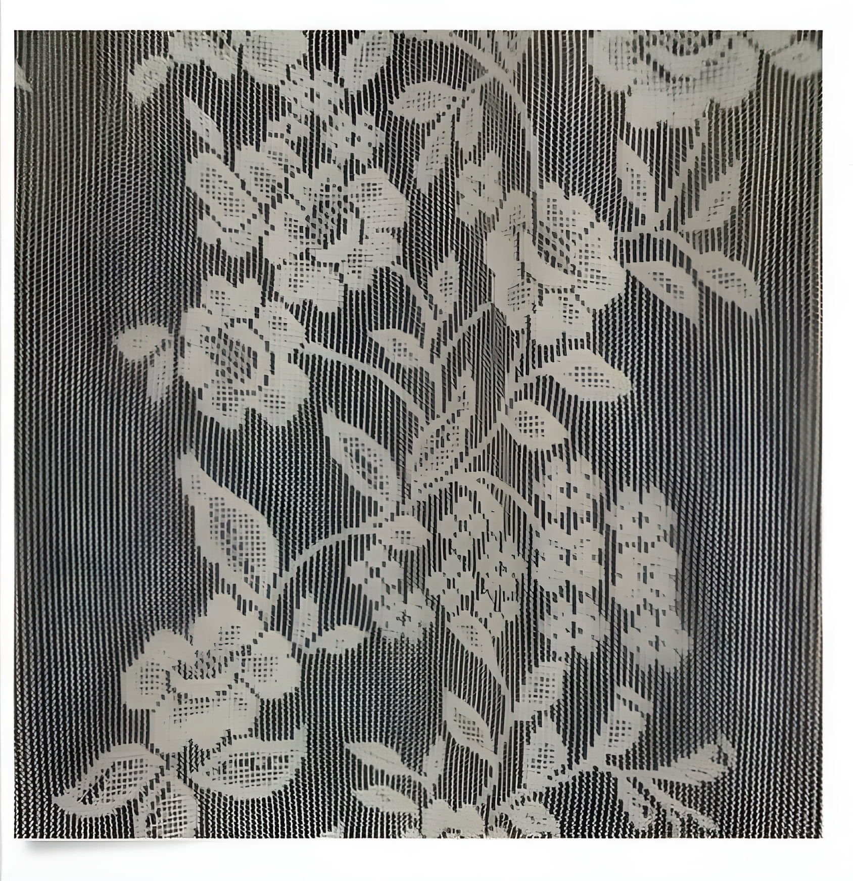 spring Home Romance Lace Fabric Shower Curtain with an Attached Valance, 70 X 72 Long