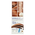 thumbnail image 4 of Clairol Nice' n Easy Permanent Hair Color, 5/118 Natural Medium Brown, 1 Kit, 4 of 4