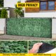 thumbnail image 1 of VEVOR Ivy - Pantalla de valla de privacidad&nbsp; 39 x 178 pulgadas&nbsp; PP&nbsp; setos artificiales de hojas sinteticas&nbsp; 3 capas para interior o exterior, 1 of 9