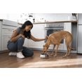 thumbnail image 2 of Cuenco De Acero Inoxidable Para Perros – Cuencos De Agua Y Comida De Metal Pesado De 32 Oz Para Perros Y Gatos Con Base Antideslizante – Cuencos Para Mascotas Para Todas Las Razas Tamaños Para Viajes, 2 of 5