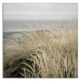 thumbnail image 3 of 14 x 14 Tuscan Dunes 2A by Alan Blaustein- Wall Art Print on Canvas Fabric Brown, 3 of 3