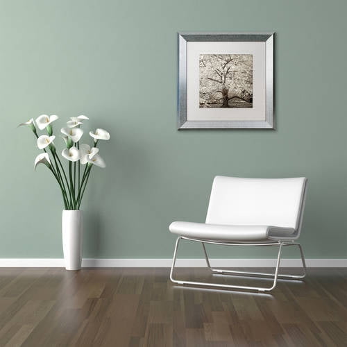 Trademark Fine Art "Hampton Magnolia II" Canvas Art by Alan Blaustein, White Matte, Silver Frame
