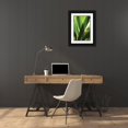 thumbnail image 3 of Berzel, Erin 13x18 Black Ornate Wood Framed with Double Matting Museum Art Print Titled - Leaves and Light I, 3 of 4