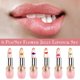 thumbnail image 4 of make up 6pcs Lipstick Set Flower Jelly Crystal Clear Long Lasting Lips Color Change Pink lip gloss Cosmetics, 4 of 4