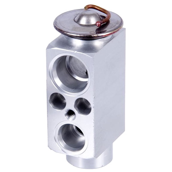 For BMW 323i 325i 328i 330i X3 M3 & Mini A/C AC Expansion Valve Device - BuyAutoParts