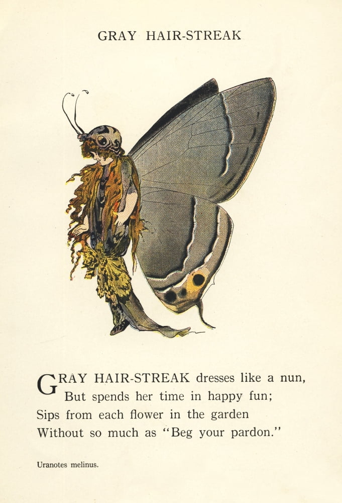Butterfly Babies 19