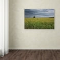 thumbnail image 3 of Trademark Fine Art "Ohio Countryside" Canvas Art by Kurt Shaffer, 3 of 3