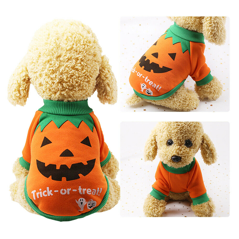 halloween costumes for yorkies dogs