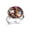 Multi 2, variant on Star Moon Ballerina Silhouette Stainless Steel Rings for Women, Open Adjustable Ring Promise Ring Jewelry Gifts