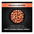 thumbnail image 3 of Alimento para Perro Ganador Premium Adulto Pollo Salmón 100 g, 3 of 4