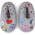 thumbnail image 2 of BT21 Ladies Line Friends Slippers - Ladies Classic Line Friends Plush Slippers - Tata, Van, Chimmy, Cooky, Shooky and RJ Slippers Grey, 9/10, 2 of 7