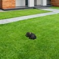thumbnail image 4 of QUMIIRITY 1Pack Black Resin Key Hider Box for Home Security Outdoor Use Realistic Design Puppy, 4 of 6