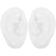 thumbnail image 4 of Creative Teaching Model Ear Shape Simulation For Jewelry Showcase 1 Pair, 4 of 4