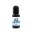 thumbnail image 1 of 1 oz Forest - Additif de Parfum à Base d'Eau pour Fog, Haze, Snow & Bubble Juice - Parfums 2 Gallons, 1 of 4