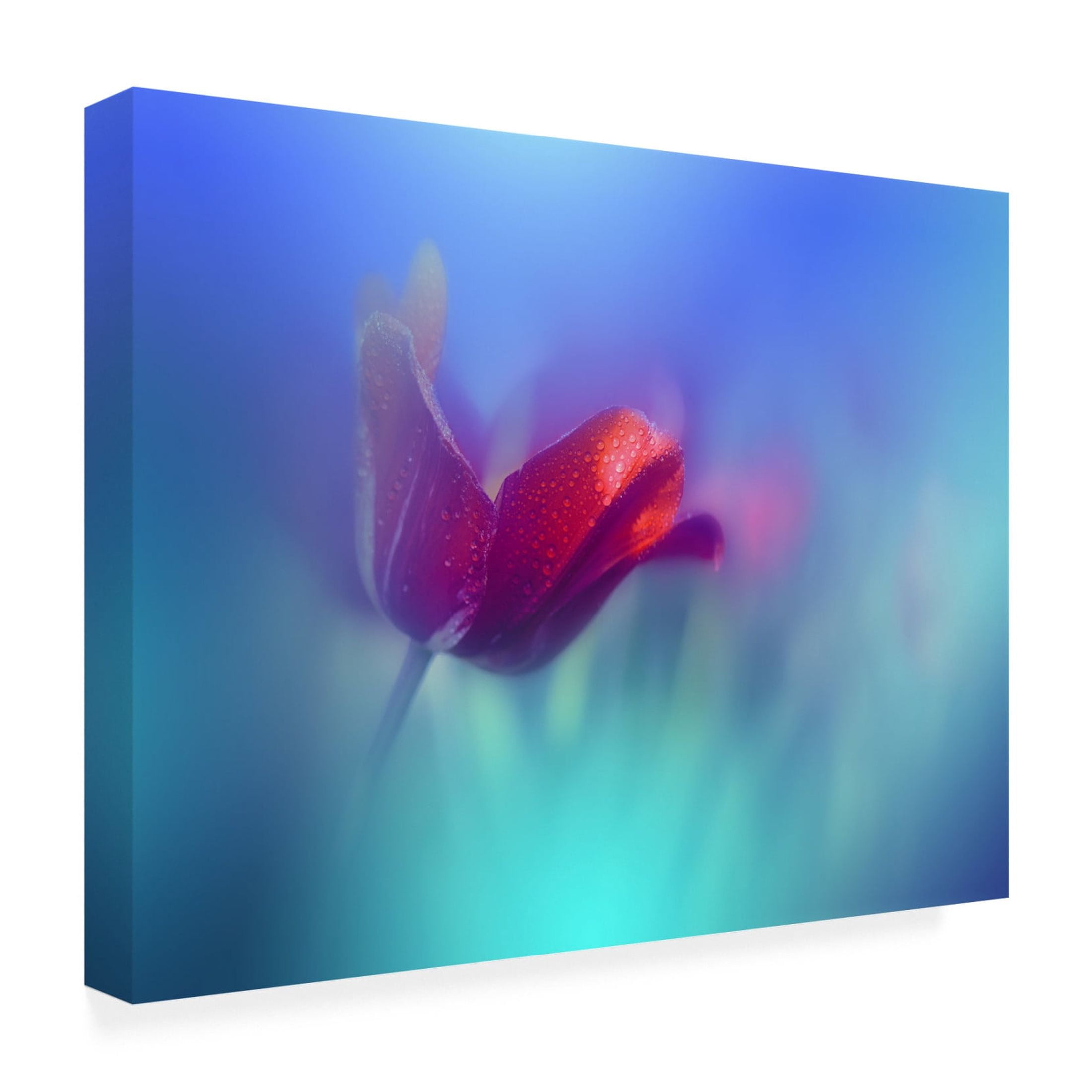 Canvas Wall Art - Juliana Nan 'Springtime ' Wall Art for Living Room, Bedroom, or Office D?cor by Trademark Fine Art - 32 x 24 Inches