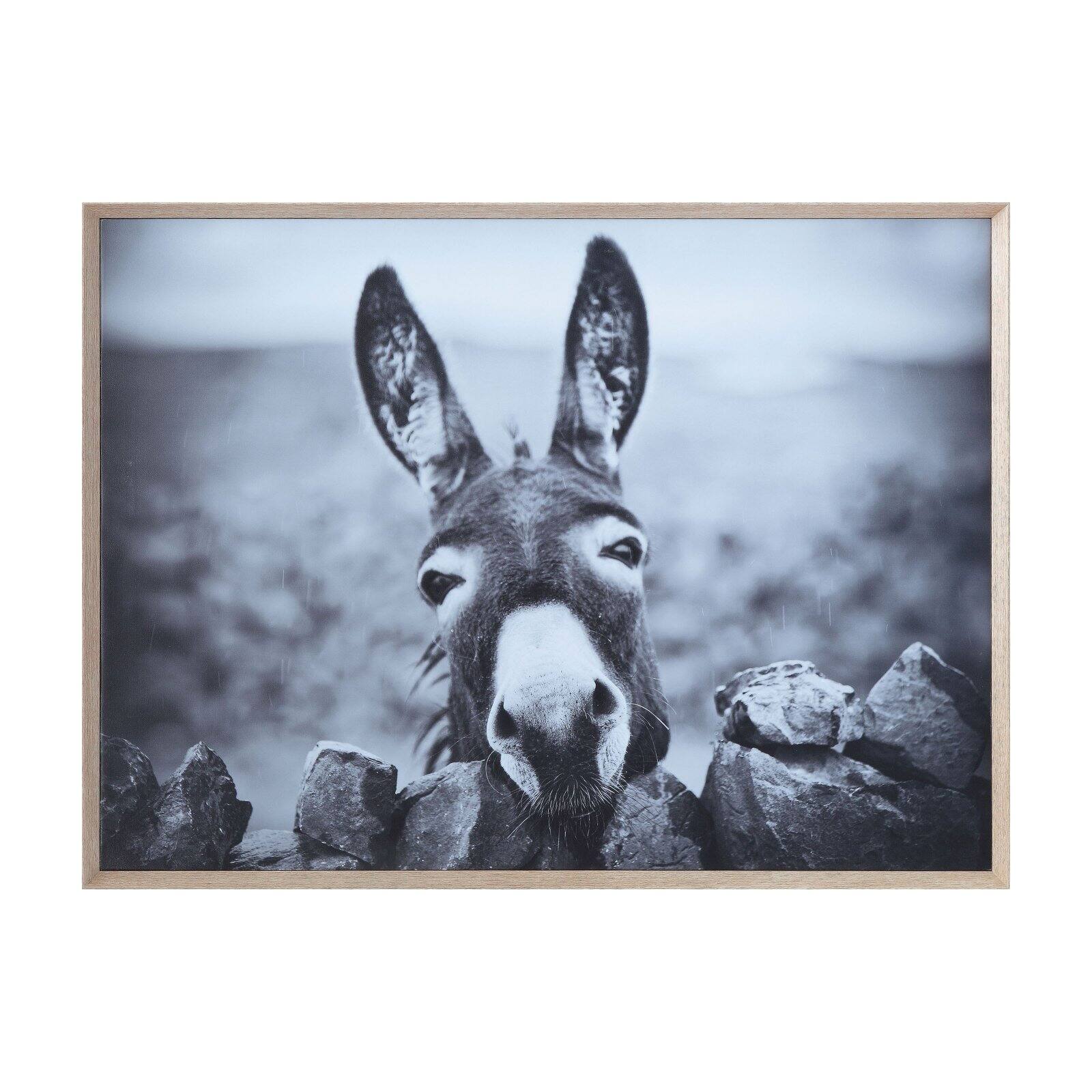 3R Studio Wall Art Canvas Framed Black and White Donkey