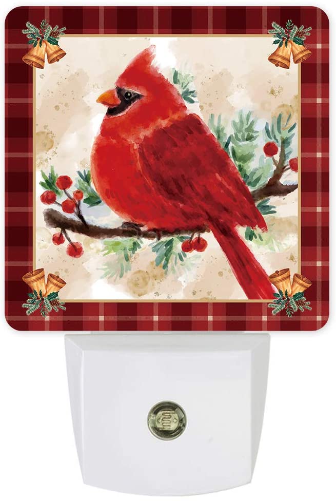 cardinal bird night light