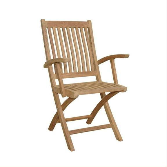 Anderson Teak Tropico Folding Patio Dining Chair in Natural (Set of 2)