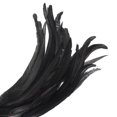 thumbnail image 5 of Uxcell 14-16 Inch Rooster Feathers, 20 Pack Bulk Natural Feathers for Crafts Style 1, Black, 5 of 6