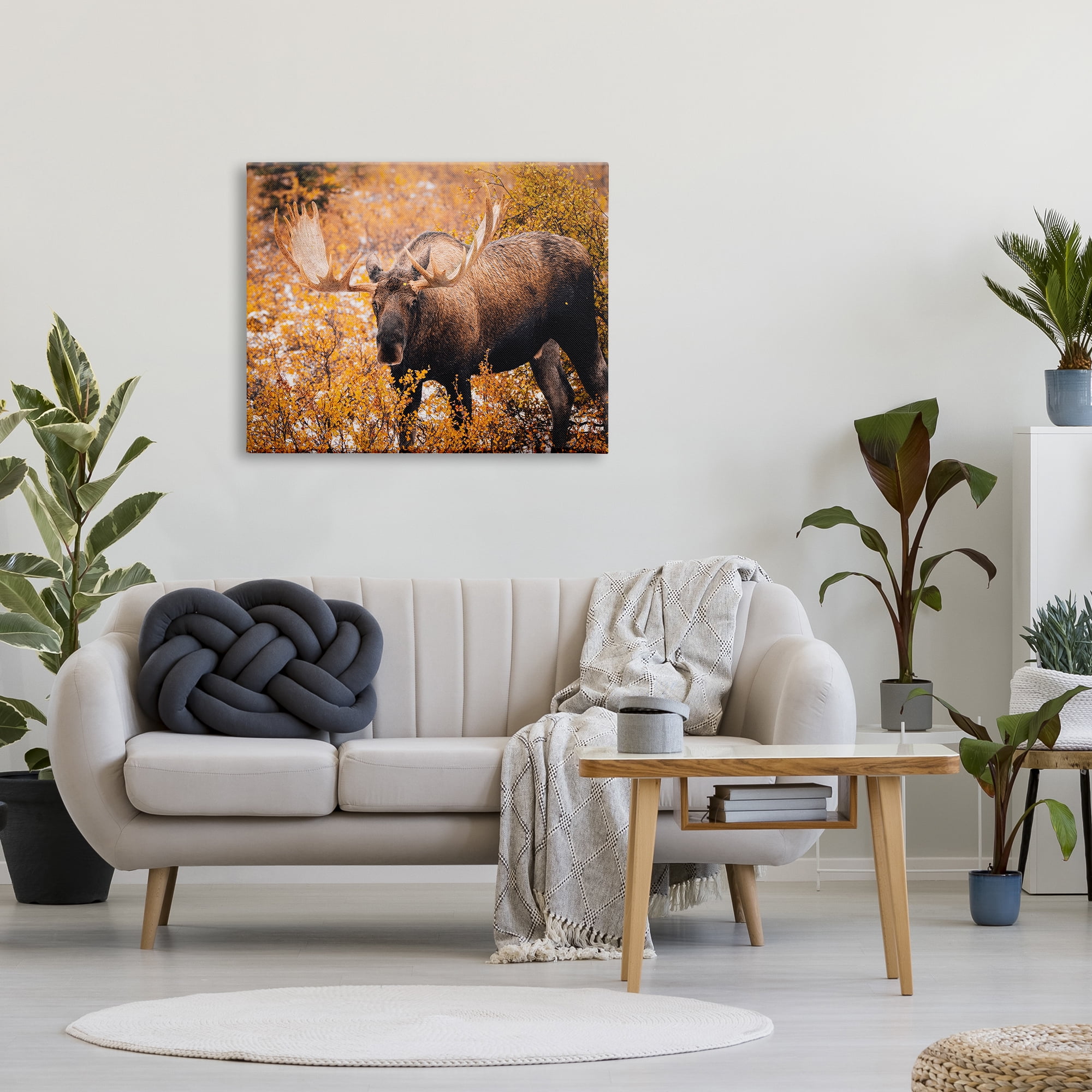 Stupell Industries Moose in Autumn Foliage Animals & Insects Photography Gallery Wrapped Canvas Art Print Wall Art, 40 x 30