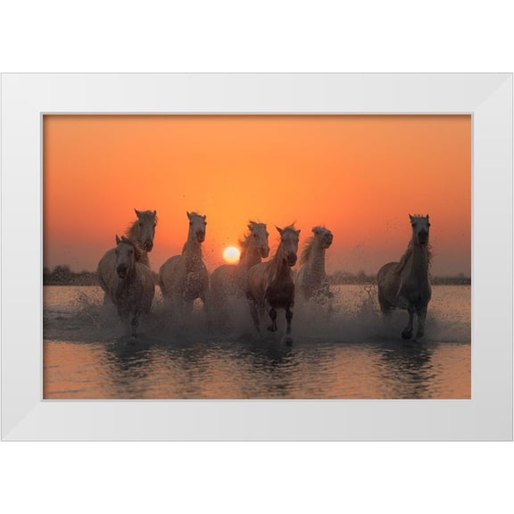 Anton, Rostovskiy 14x11 White Modern Wood Framed Museum Art Print Titled - Sunset in Camargue