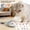 A, variant on Electric Plush Mouse Cat Toy Self-Entertainment Moving Ball for Cat Bite-Resistant Interactive Pet Toy for Indoor Cats Dogs Play