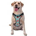 thumbnail image 1 of Balery Watermelon Arnés para Perros Grandes Antitirones, Arnés con Correa para Gato, Arnés Tipo Chaleco para Perros Pequeños-Medium, 1 of 6