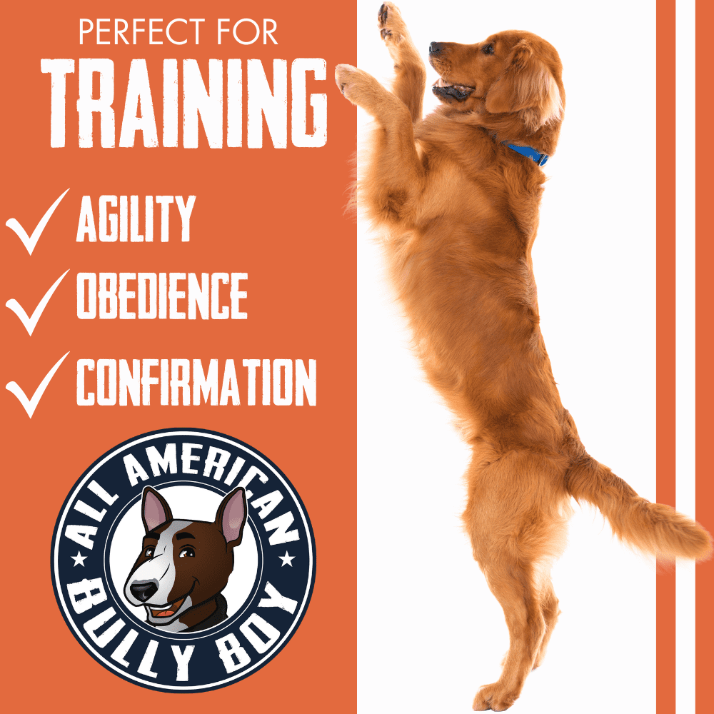 Bully Boy's Famous Training Sticks Dog Treats, Smokehouse Chicken, 7oz. (2 Pack)
