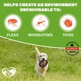thumbnail image 3 of Beloved Pets Flea and Tick Support Chews for Dogs and Cats - Skin & Coat Natural Defense & Resistance for All Breeds Chicken Flavor, 10 oz, 3 of 5