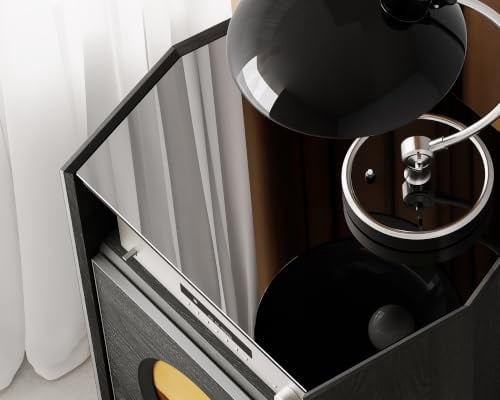 FITUEYES Picasso 4-Tier Record Player Stand with Album Display and Vinyl Record Storage, Black
