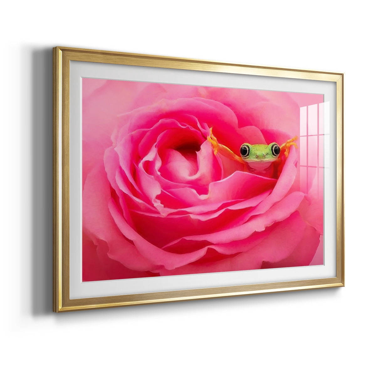 Hanging On VIII Premium Framed Print - Ready to Hang