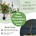 thumbnail image 5 of Resenkos Greenery Decor,3.3 Feet Artificial Camellia Tree for Indoor and Outdoor, 5 of 8