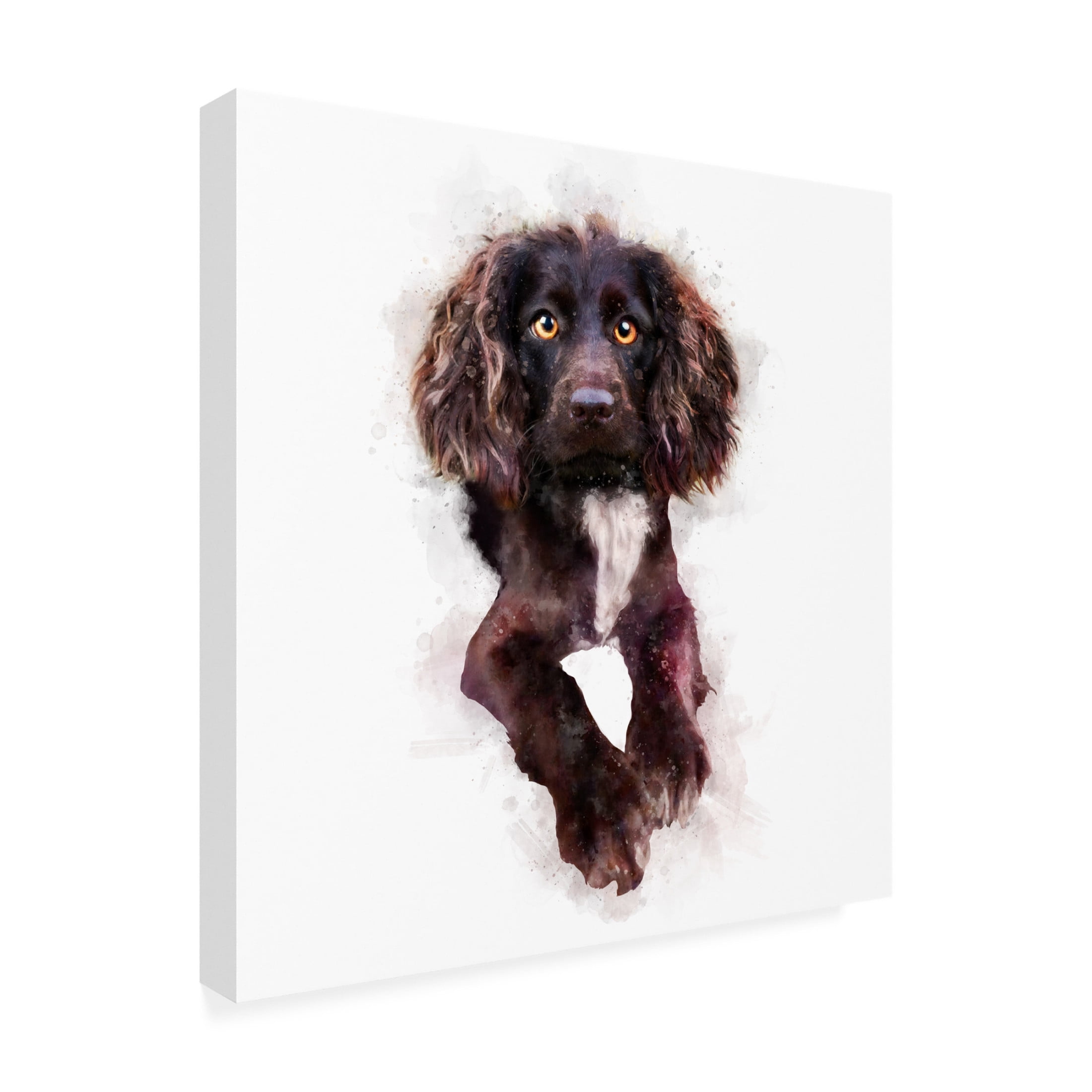 Trademark Fine Art Emel Tunaboylu Baby Puppy Canvas Wall Art