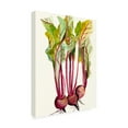 thumbnail image 2 of Trademark Fine Art 'Early Harvest II' Canvas Art by Alicia Ludwig, 2 of 4