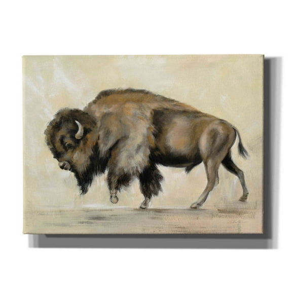 Epic Graffiti 'Bronze Buffalo' by Silvia Vassileva, Canvas Wall Art, 54"x40"