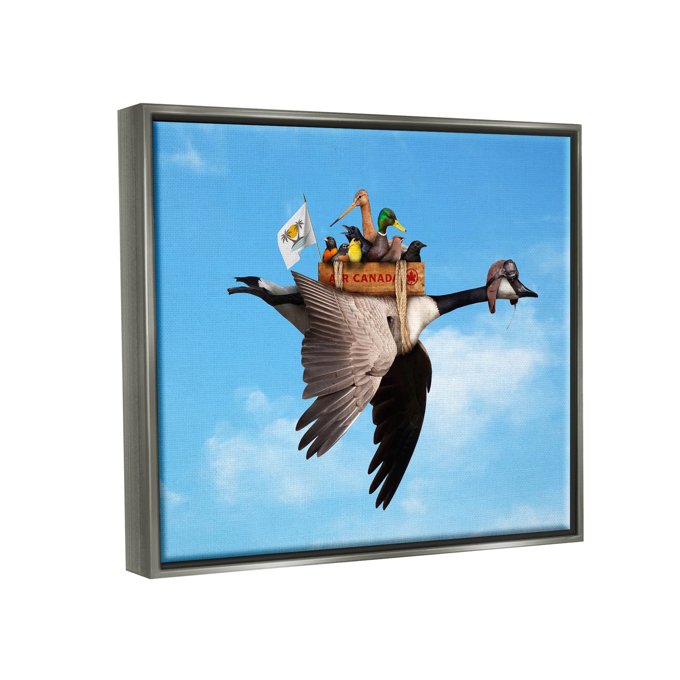 Pilot Goose Flying Ducks Sky Animals & Insects Graphic Art Luster Gray Framed Art Print Wall Art
