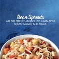 La Choy Bean Sprouts, Canned Vegetables, 14 oz Can