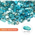 thumbnail image 2 of 0.66lb/300g Crushed Shells for Crafts,Bexikou Small Natural Sea Shells for DIY Art, Vase Fillers Table Scatter, Party Favor, Wedding Decoration, Succulents Plants Soil Cover, Art Crafts (Lake Blue), 2 of 6